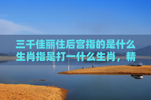三千佳丽住后宫指的是什么生肖指是打一什么生肖，精选星座解释