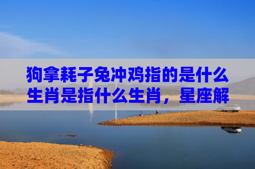 狗拿耗子兔冲鸡指的是什么生肖是指什么生肖，星座解读落实