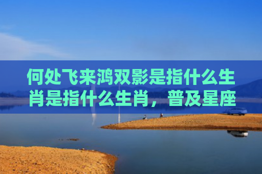 何处飞来鸿双影是指什么生肖是指什么生肖，普及星座常识