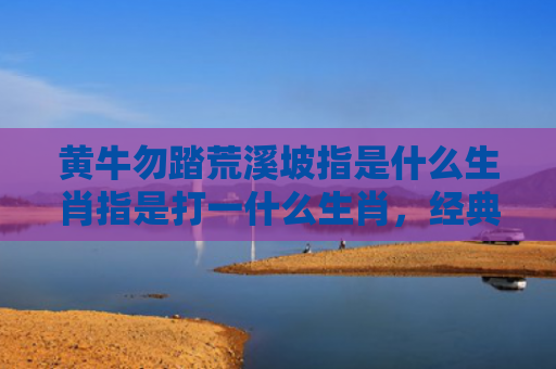 黄牛勿踏荒溪坡指是什么生肖指是打一什么生肖，经典解答星座知识