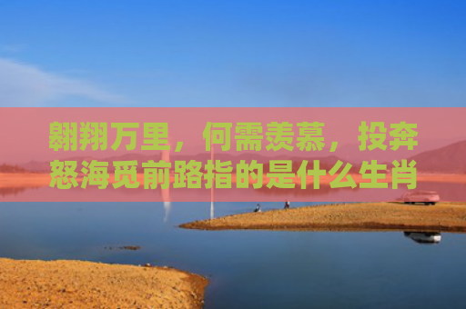 翱翔万里，何需羡慕，投奔怒海觅前路指的是什么生肖，普及星座常识