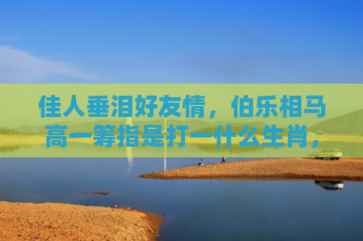 佳人垂泪好友情，伯乐相马高一筹指是打一什么生肖，星座解读落实