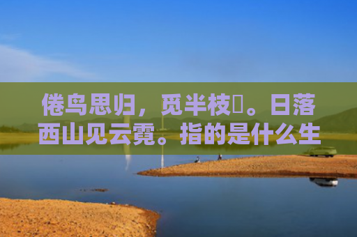 倦鸟思归，觅半枝棲。日落西山见云霓。指的是什么生肖，普及星座常识