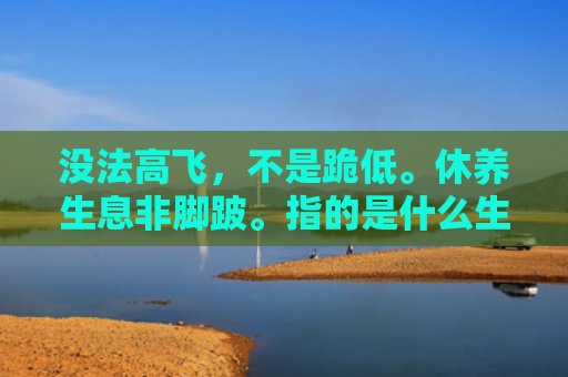 没法高飞，不是跪低。休养生息非脚跛。指的是什么生肖，解读星座知识