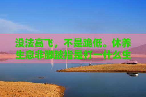 没法高飞，不是跪低。休养生息非脚跛指是打一什么生肖，星座解读落实