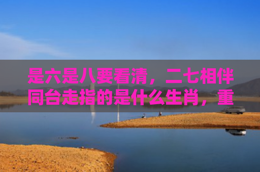 是六是八要看清，二七相伴同台走指的是什么生肖，重点解答星座释义