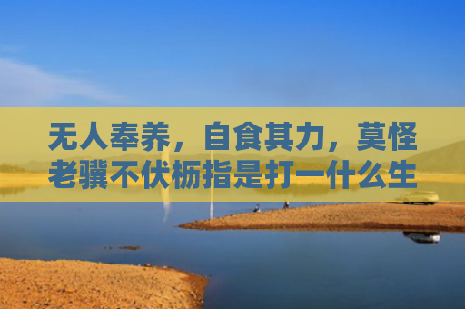 无人奉养，自食其力，莫怪老骥不伏枥指是打一什么生肖，解读星座知识