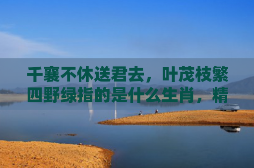 千襄不休送君去，叶茂枝繁四野绿指的是什么生肖，精选星座解释
