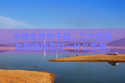今期生肖力千均，二三流落九辉煌指是打一什么生肖，经典解答星座知识