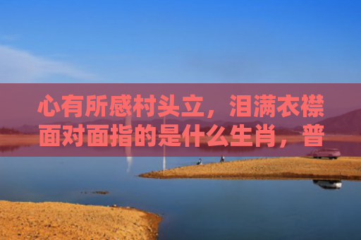 心有所感村头立，泪满衣襟面对面指的是什么生肖，普及星座常识