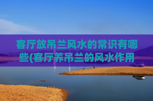 客厅放吊兰风水的常识有哪些(客厅养吊兰的风水作用)