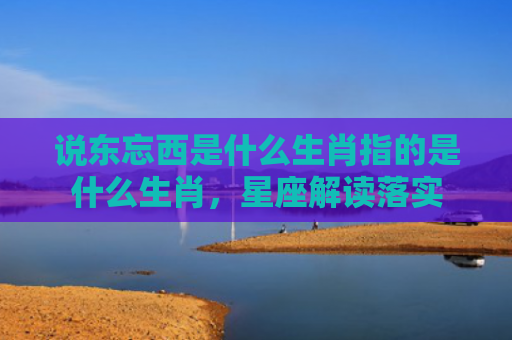 说东忘西是什么生肖指的是什么生肖，星座解读落实