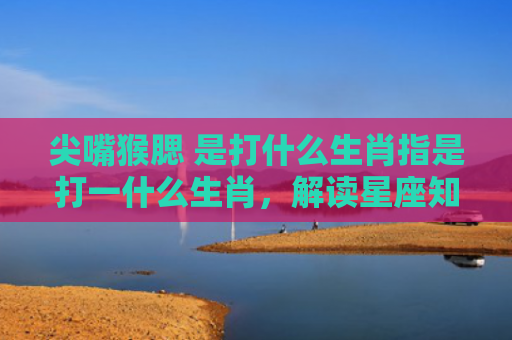 尖嘴猴腮 是打什么生肖指是打一什么生肖，解读星座知识