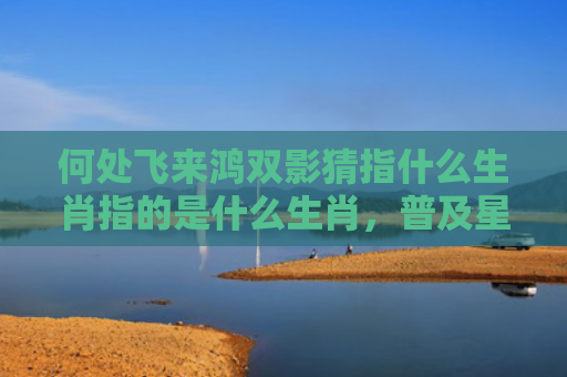 何处飞来鸿双影猜指什么生肖指的是什么生肖，普及星座常识