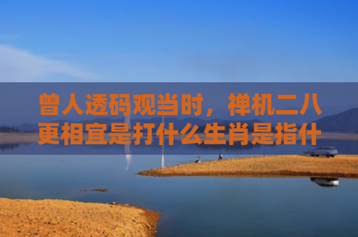 曾人透码观当时，禅机二八更相宜是打什么生肖是指什么生肖，重点解答星座释义