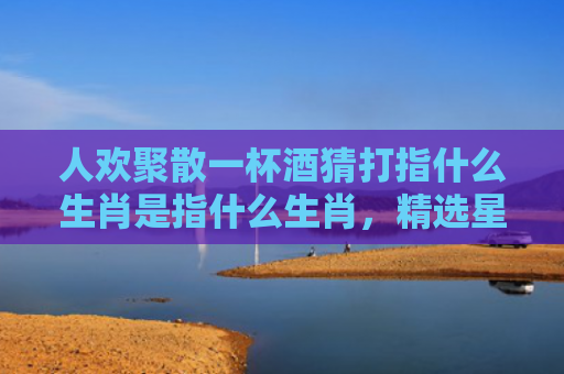人欢聚散一杯酒猜打指什么生肖是指什么生肖，精选星座解释