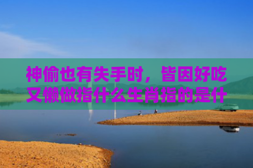 神偷也有失手时，皆因好吃又懒做指什么生肖指的是什么生肖，解读星座知识