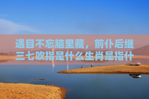 遇目不忘脑里藏，前仆后继三七吹指是什么生肖是指什么生肖，经典解答星座知识