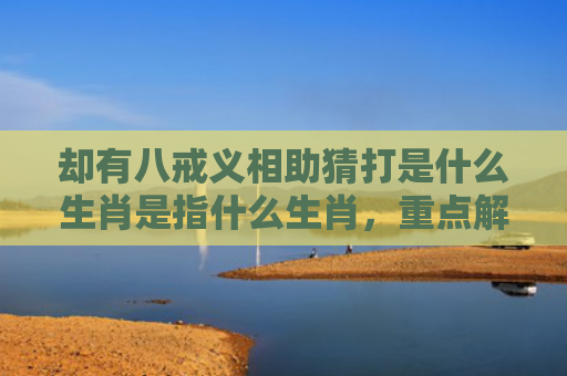 却有八戒义相助猜打是什么生肖是指什么生肖，重点解答星座释义