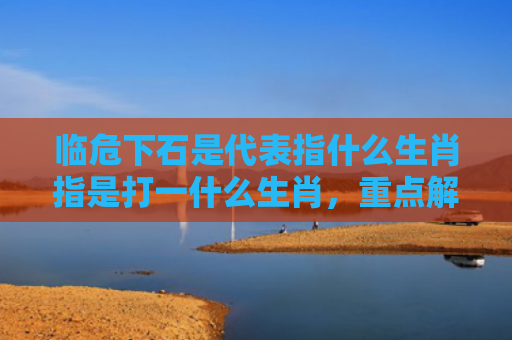 临危下石是代表指什么生肖指是打一什么生肖，重点解答星座释义
