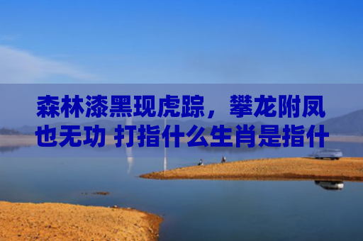 森林漆黑现虎踪，攀龙附凤也无功 打指什么生肖是指什么生肖，重点解答星座释义