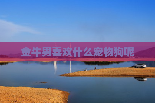 金牛男喜欢什么宠物狗呢