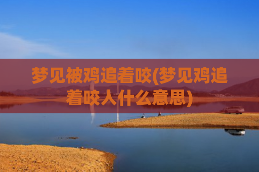 梦见被鸡追着咬(梦见鸡追着咬人什么意思)