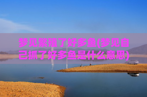 梦见繁殖了好多鱼(梦见自己抓了好多鱼是什么意思)