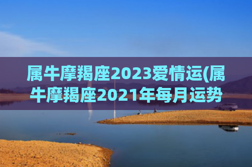 属牛摩羯座2023爱情运(属牛摩羯座2021年每月运势)