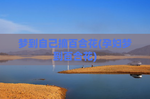 梦到自己摘百合花(孕妇梦到百合花) 梦到自己摘百合花(孕妇梦到百合花)