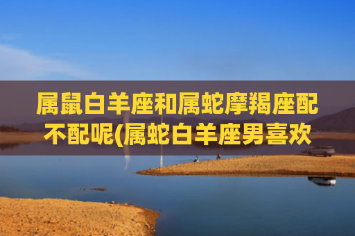 属鼠白羊座和属蛇摩羯座配不配呢(属蛇白羊座男喜欢什么女生)