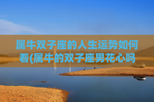 属牛双子座的人生运势如何看(属牛的双子座男花心吗)