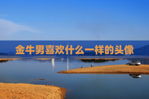 金牛男喜欢什么一样的头像