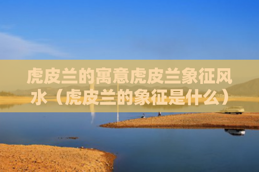 虎皮兰的寓意虎皮兰象征风水（虎皮兰的象征是什么）