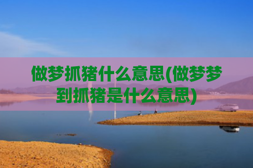 做梦抓猪什么意思(做梦梦到抓猪是什么意思)