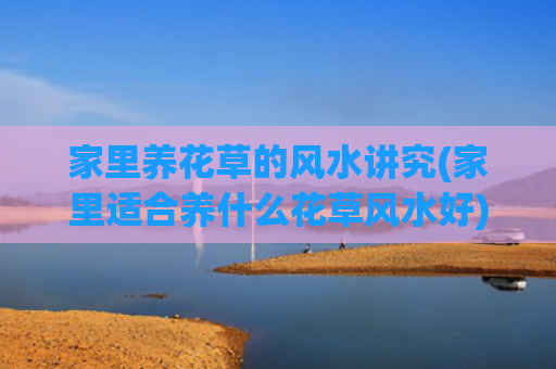 家里养花草的风水讲究(家里适合养什么花草风水好)