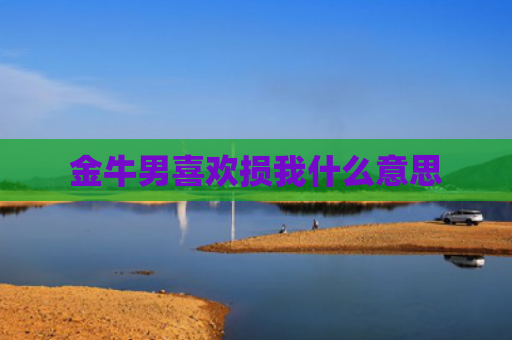 金牛男喜欢损我什么意思