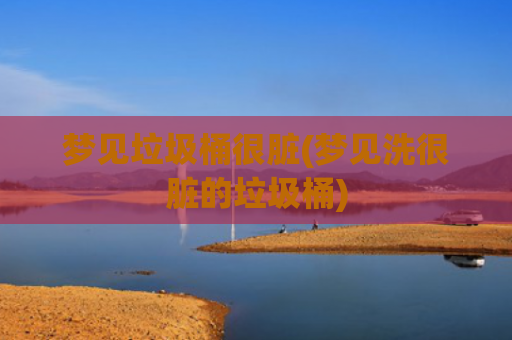 梦见垃圾桶很脏(梦见洗很脏的垃圾桶)