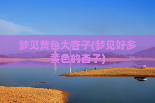 梦见黄色大杏子(梦见好多黄色的杏子)