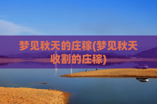 梦见秋天的庄稼(梦见秋天收割的庄稼)