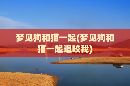 梦见狗和猫一起(梦见狗和猫一起追咬我)