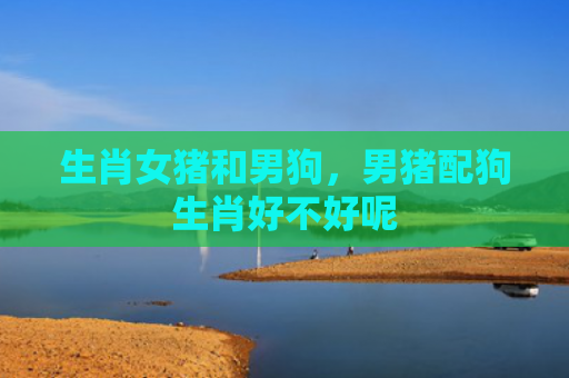 生肖女猪和男狗，男猪配狗生肖好不好呢