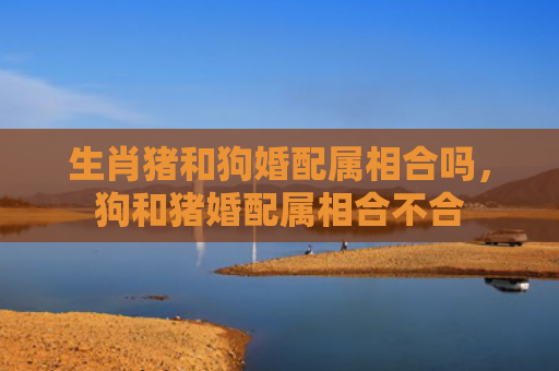 生肖猪和狗婚配属相合吗，狗和猪婚配属相合不合