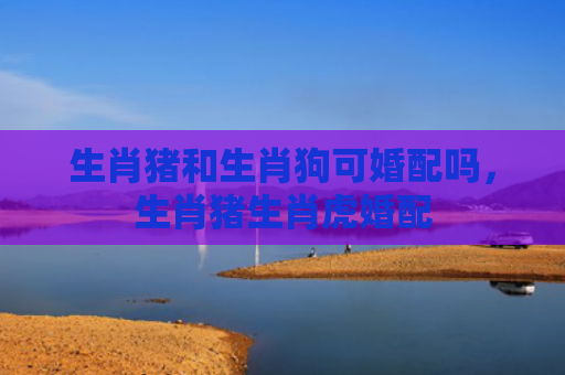 生肖猪和生肖狗可婚配吗，生肖猪生肖虎婚配