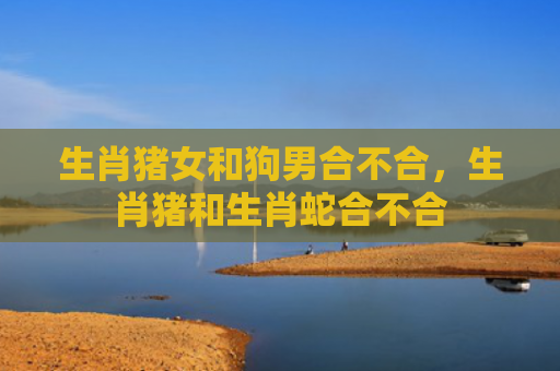 生肖猪女和狗男合不合，生肖猪和生肖蛇合不合