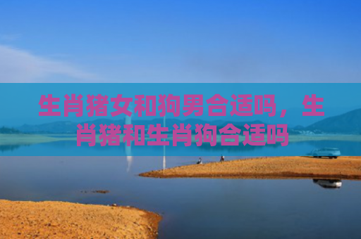 生肖猪女和狗男合适吗，生肖猪和生肖狗合适吗