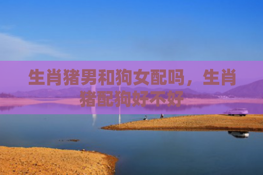 生肖猪男和狗女配吗，生肖猪配狗好不好