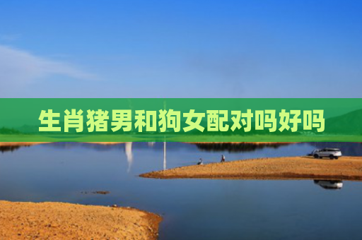 生肖猪男和狗女配对吗好吗