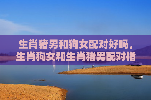 生肖猪男和狗女配对好吗，生肖狗女和生肖猪男配对指数