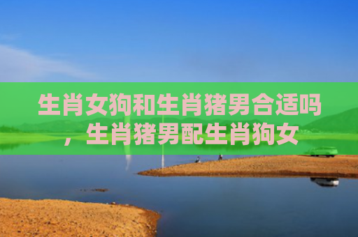 生肖女狗和生肖猪男合适吗，生肖猪男配生肖狗女